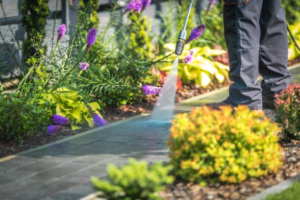 Del Aire, CA Pressure Washing Services Company